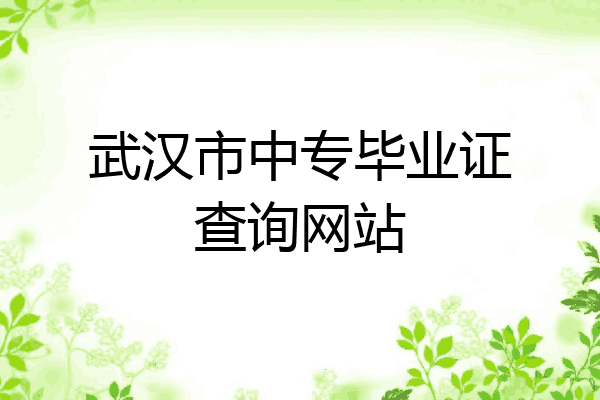 武汉市中专毕业证查询网站
