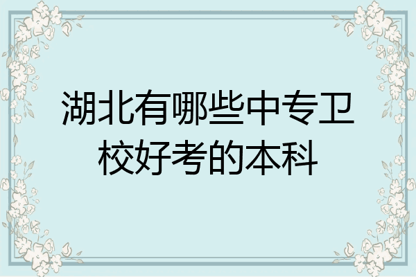 湖北有哪些中专卫校好考的本科