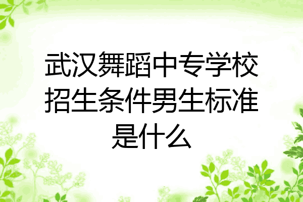 武汉舞蹈中专学校招生条件男生标准是什么