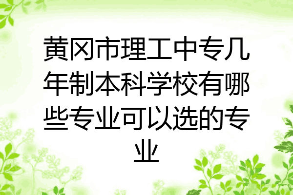 黄冈市理工中专几年制本科学校有哪些专业可以选的专业