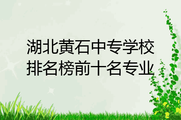 湖北黄石中专学校排名榜前十名专业