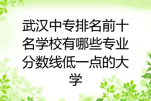 武汉中专排名前十名学校有哪些专业分数线低一点的大学