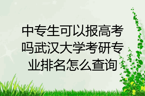 中专生可以报高考吗武汉大学考研专业排名怎么查询
