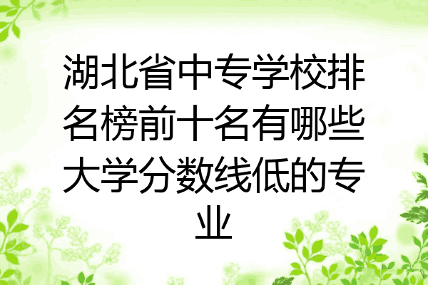 湖北省中专学校排名榜前十名有哪些大学分数线低的专业
