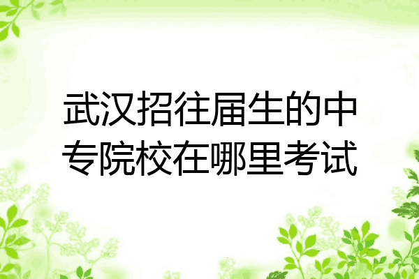武汉招往届生的中专院校在哪里考试