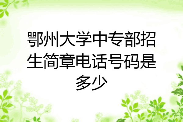 鄂州大学中专部招生简章电话号码是多少