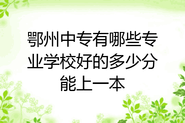 鄂州中专有哪些专业学校好的多少分能上一本