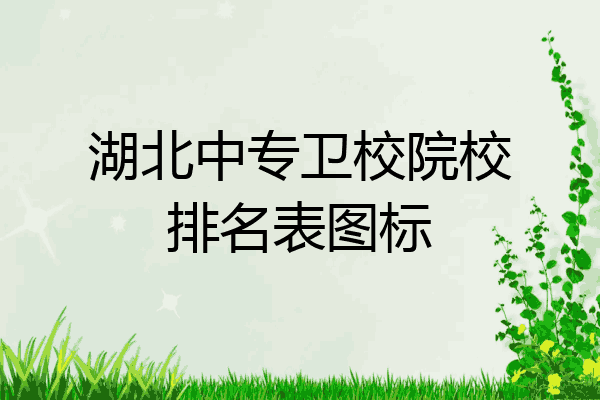 湖北中专卫校院校排名表图标