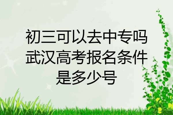 初三可以去中专吗武汉高考报名条件是多少号