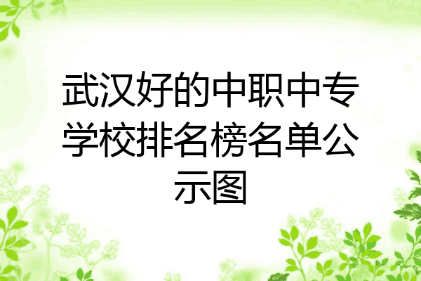 武汉好的中职中专学校排名榜名单公示图