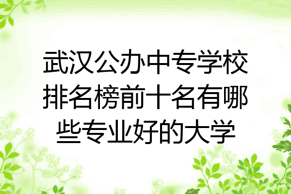 武汉公办中专学校排名榜前十名有哪些专业好的大学
