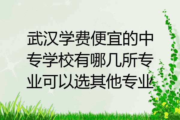 武汉学费便宜的中专学校有哪几所专业可以选其他专业