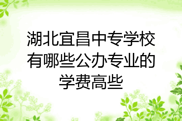 湖北宜昌中专学校有哪些公办专业的学费高些