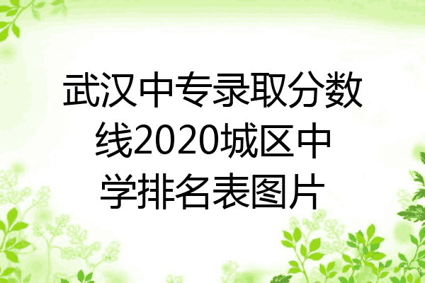 武汉中专录取分数线2020城区中学排名表图片