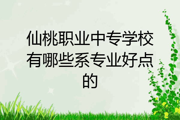 仙桃职业中专学校有哪些系专业好点的