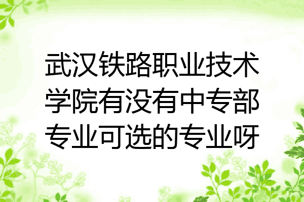 武汉铁路职业技术学院有没有中专部专业可选的专业呀