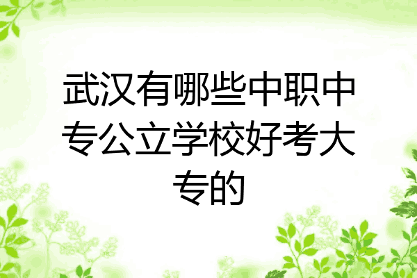 武汉有哪些中职中专公立学校好考大专的