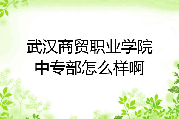 武汉商贸职业学院中专部怎么样啊