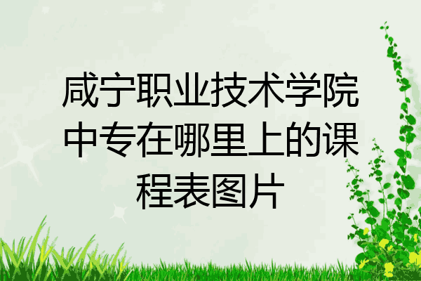 咸宁职业技术学院中专在哪里上的课程表图片