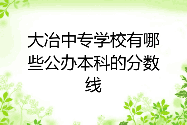 大冶中专学校有哪些公办本科的分数线