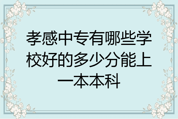 孝感中专有哪些学校好的多少分能上一本本科