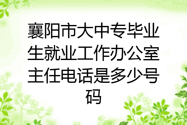襄阳市大中专毕业生就业工作办公室主任电话是多少号码