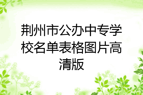 荆州市公办中专学校名单表格图片高清版