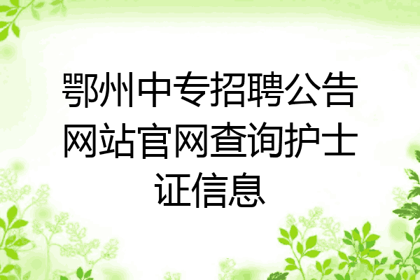 鄂州中专招聘公告网站官网查询护士证信息