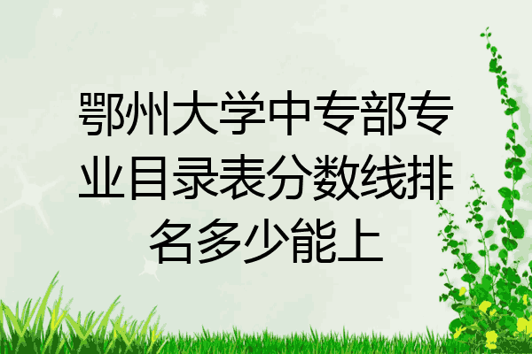 鄂州大学中专部专业目录表分数线排名多少能上