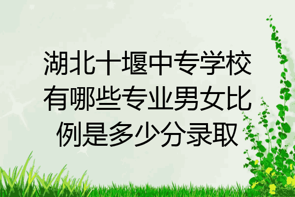 湖北十堰中专学校有哪些专业男女比例是多少分录取