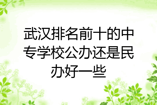 武汉排名前十的中专学校公办还是民办好一些