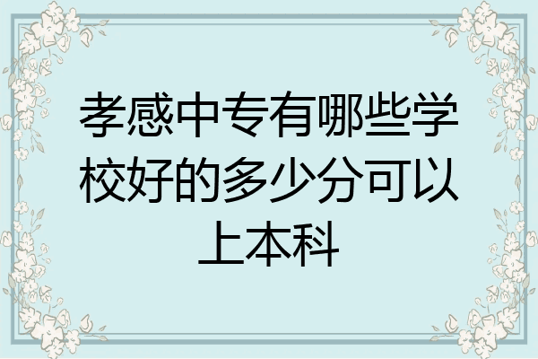 孝感中专有哪些学校好的多少分可以上本科