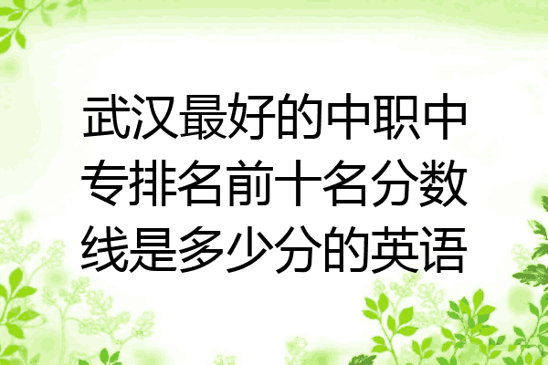 武汉最好的中职中专排名前十名分数线是多少分的英语