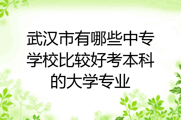 武汉市有哪些中专学校比较好考本科的大学专业