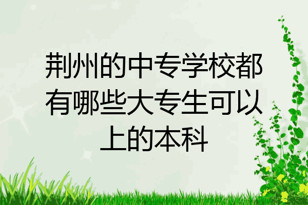 荆州的中专学校都有哪些大专生可以上的本科