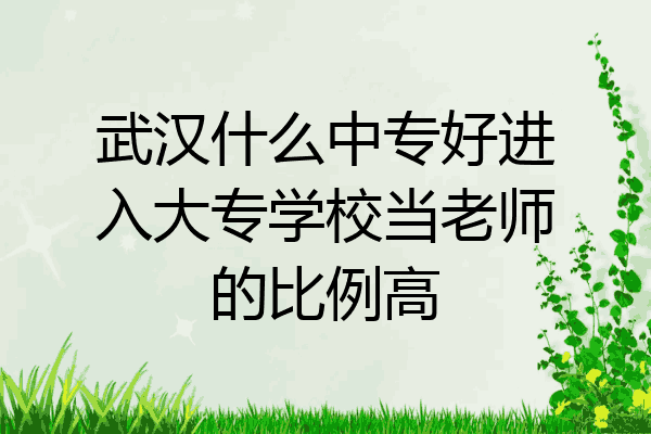 武汉什么中专好进入大专学校当老师的比例高