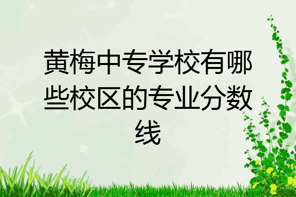黄梅中专学校有哪些校区的专业分数线