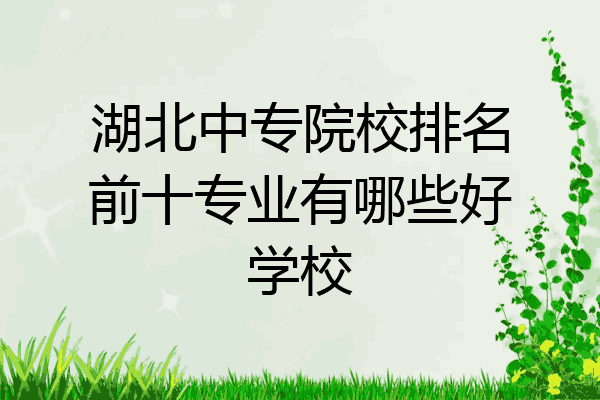 湖北中专院校排名前十专业有哪些好学校