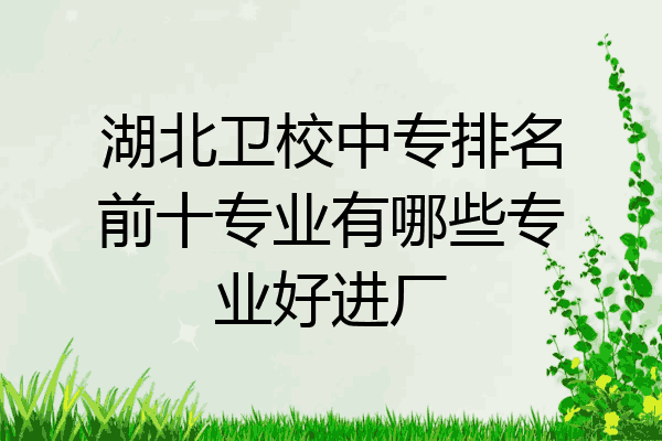湖北卫校中专排名前十专业有哪些专业好进厂