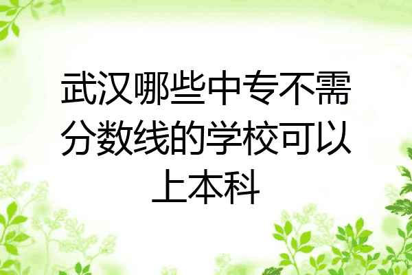 武汉哪些中专不需分数线的学校可以上本科