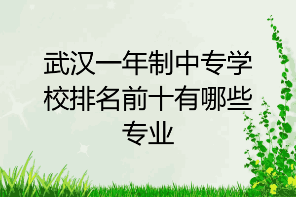 武汉一年制中专学校排名前十有哪些专业