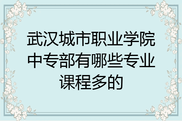 武汉城市职业学院中专部有哪些专业课程多的