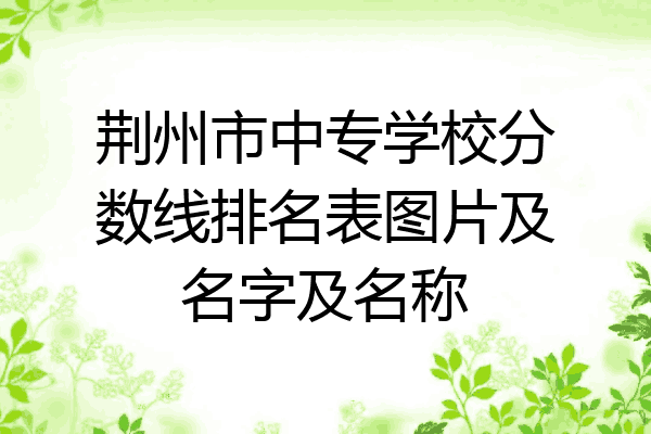 荆州市中专学校分数线排名表图片及名字及名称