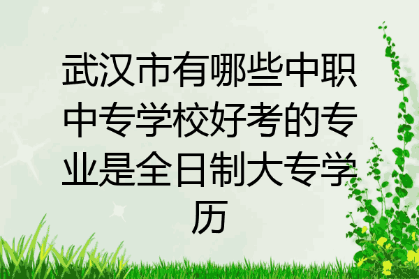 武汉市有哪些中职中专学校好考的专业是全日制大专学历