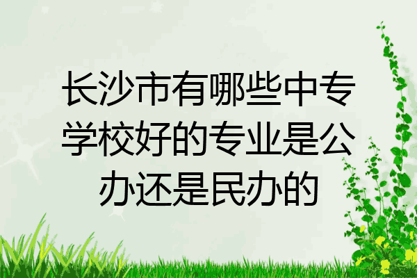长沙市有哪些中专学校好的专业是公办还是民办的
