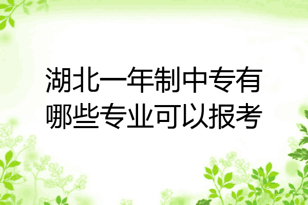 湖北一年制中专有哪些专业可以报考