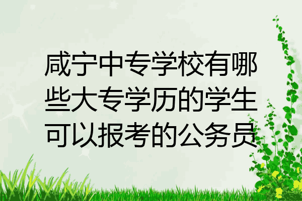 咸宁中专学校有哪些大专学历的学生可以报考的公务员
