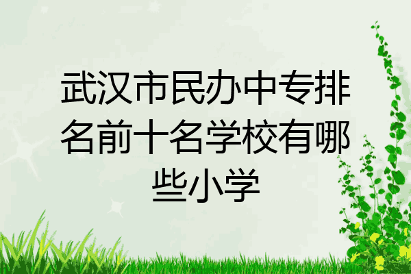 武汉市民办中专排名前十名学校有哪些小学