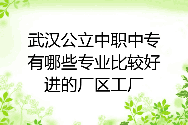 武汉公立中职中专有哪些专业比较好进的厂区工厂