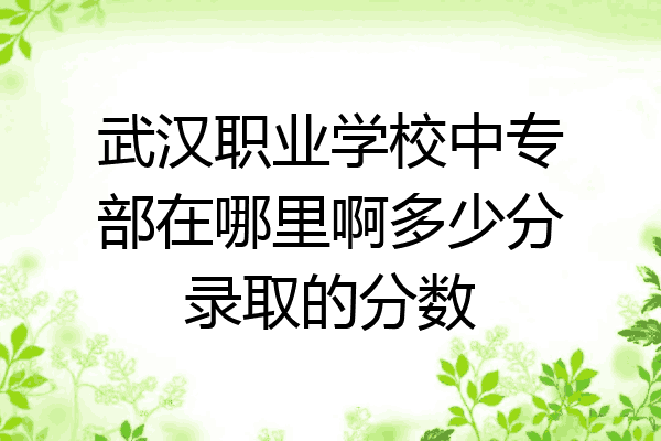 武汉职业学校中专部在哪里啊多少分录取的分数
